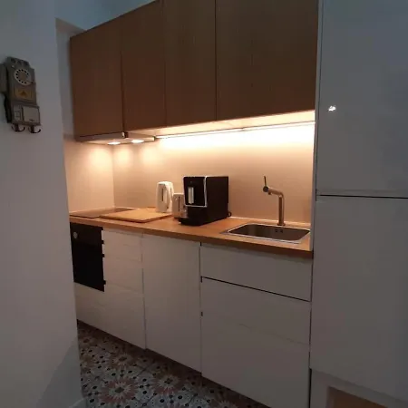 Cosy A Biarritz, Proche Des Halles Et Plages, Ideal Pour 2 Avec Wifi Inclus - Fr-1-239-853 *